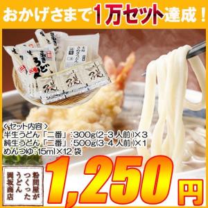 讃岐うどん おためしセット 送料無料 岡坂商店 本場さぬきうどん「二番」 初回限定 おためし 食べ比べセット 約12食（半生うどん＋純生うどん＋めんつゆ）