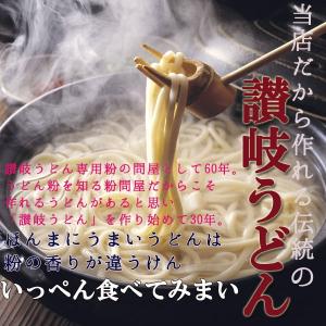訳あり 食品 本場讃岐うどん 半生うどん 切り...の詳細画像5