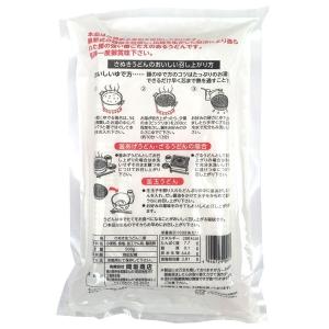 もちもち食感 岡坂商店 本場讃岐うどん<純生う...の詳細画像4
