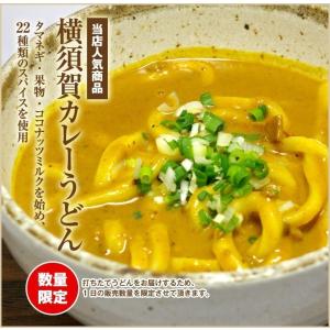 横須賀カレーうどんセット 3人前