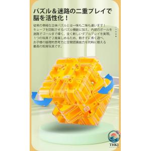 D立体迷路ボール パズル 迷路の二重遊び 暇つ...の詳細画像4