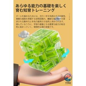 D立体迷路ボール パズル 迷路の二重遊び 暇つ...の詳細画像5