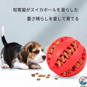 犬おもちゃ 知育玩具 きれいな歯 犬のおもちゃ...の詳細画像5