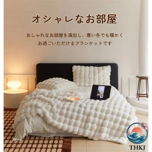 暖か 軽い 大判 マイクロファイバー 掛け毛布...の詳細画像5