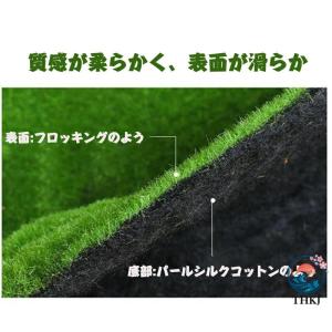山丘草モス 人工苔 苔マット フェイクグリーン...の詳細画像1