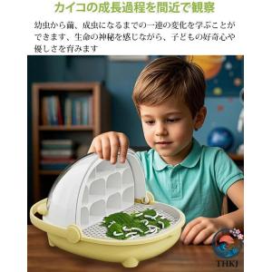 カイコ飼育 昆虫飼育 蚕飼育セット カイコ 飼...の詳細画像1