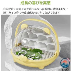カイコ飼育 昆虫飼育 蚕飼育セット カイコ 飼...の詳細画像2