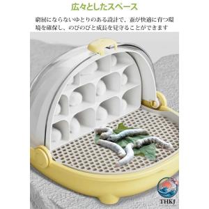 カイコ飼育 昆虫飼育 蚕飼育セット カイコ 飼...の詳細画像3