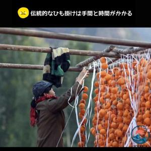 干し柿ハンガー 新型 干し柿作り 大型柿 小さ...の詳細画像1
