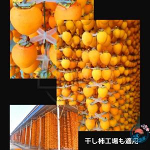 干し柿ハンガー 新型 干し柿作り 大型柿 小さ...の詳細画像5