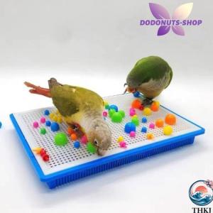 鳥のおもちゃ 小鳥 インコ プラスチック オカ...の詳細画像3
