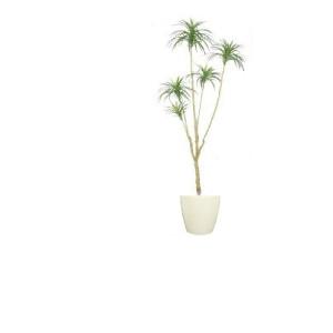 ヤシの木「フェニックスパームツリー」 人工観葉植物全長170cm : 上田
