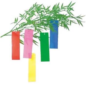 (配送無料)七夕 ビニール短冊 5色/50枚セットの詳細画像1