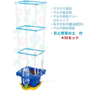 マルチ ラクラク給水朝顔/あさがお 支柱付DXセット