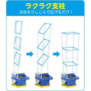 マルチ ラクラク給水朝顔/あさがお 支柱付DXセットの詳細画像1