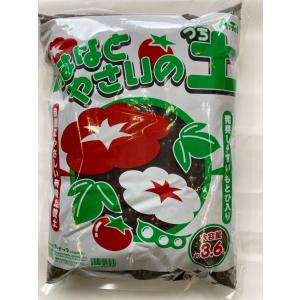 マルチ ラクラク給水朝顔/あさがお 支柱付DXセットの詳細画像4