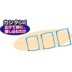 マルチ ラクラク給水朝顔/あさがお 支柱付DXセットの詳細画像2