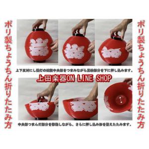 ポリ提灯 八寸丸張分5色(各色セット)(配送料無料)の詳細画像2