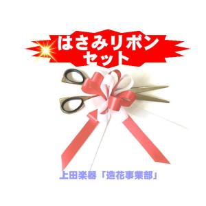 テープカット用はさみ20cm 総金 桐箱入り : 上田楽器ON LINE SHOP