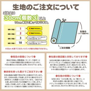 チェック 秋冬 ラミネート生地 タータンチェッ...の詳細画像5