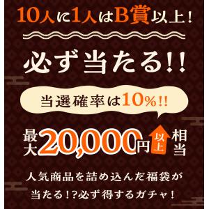 (最大20,000円相当の商品が当たる) ダイ...の詳細画像2