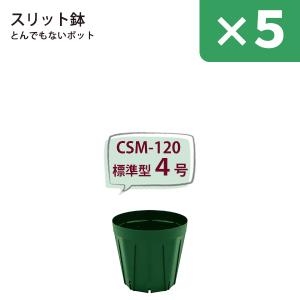 渋谷園芸 植木鉢屋 サイズ 号数 から選ぶ Yahoo ショッピング