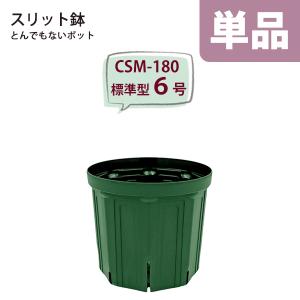 スリット鉢 直径18cm 6号〈深型 ロングタイプ〉樹脂製 ケンガイポット