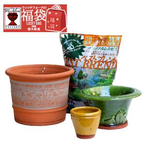 ウィッチフォードの福袋　カラー選べる植木鉢　培養土　迎春　まとめて　宝石箱　年内お届けOK　年末年始セール　2022-3
