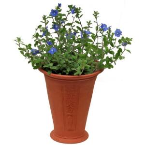 在庫僅少】ウィッチフォード テラコッタ 植木鉢 ウィッチフォード