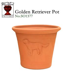 ウィッチフォード テラコッタ 植木鉢 《オーリキュラ リムあり