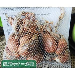 野菜球根 わけぎ 約150g入 ワケギ 野菜球...の詳細画像1