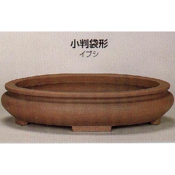 植木鉢 陶器 常滑焼  25T26【和泉屋】小判袋形盆栽鉢(15号_イブシ)