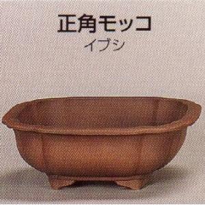 植木鉢 陶器 常滑焼  26T03【和泉屋】正角モッコ盆栽鉢(9号_イブシ)