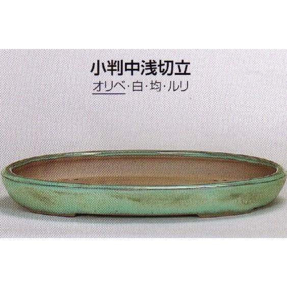 植木鉢 陶器 常滑焼  【角山】小判中切立浅盆栽鉢(18号_オリベ)