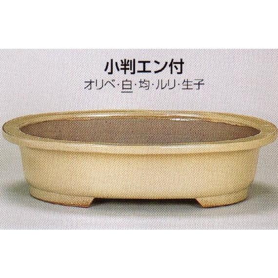 植木鉢 陶器 常滑焼  【角山】小判エン付盆栽鉢(16号_白)