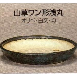 植木鉢 陶翠窯 エン付小判3号盆栽鉢（窯キズあり） : ヤマコー畑岡