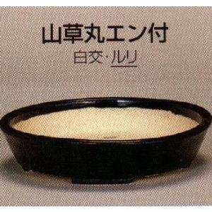 植木鉢 陶翠窯 ワン型長角額画3.6号盆栽鉢 : ヤマコー畑岡幸助商店