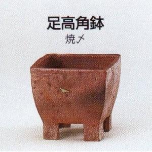 植木鉢 陶翠窯 エン付長角足付3号盆栽鉢 : ヤマコー畑岡幸助商店