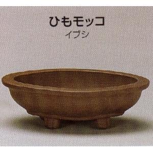 植木鉢 陶器 常滑焼  23T52【和泉屋】ひももっこ盆栽鉢(6号_イブシ)
