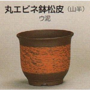 植木鉢【禄巳斉春松】手作り切立長角盆栽鉢(イブシ）13号 : ヤマコー