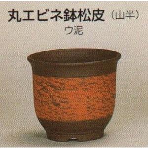フラワーベース 生け花 花器 水盤 生け花用花器 小原流 池坊 古流