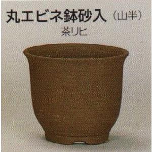 盆栽小鉢：立杭焼 丹満 丸鉢 9.8cm 【現品】Tachikui : 遊恵盆栽