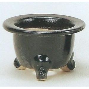 まとめ売り】信楽焼 楽風 オモト鉢 5号 日本製 黒化粧 オモト鉢(万年青