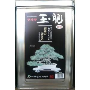 植木鉢 陶翠窯 エン付長角足付3号盆栽鉢 : ヤマコー畑岡幸助商店