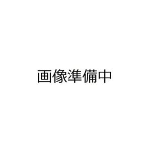 ユッカ グロリオサ バリエガータ 樹高0.3m前後 21cmポット （24本セット）（送料無料） 苗 植木 苗木 庭