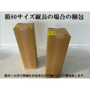 ヤブラン / 10.5cmポット ( 単 品 ...の詳細画像4