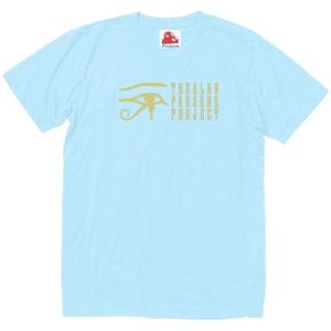 ブルー オイスター カルト Blue Oyster Cult 音楽Tシャツ ロックT