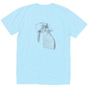 ダイナソーJr. Dinosaur Jr. 音楽Tシャツ ロックTシャツ バンドTシャツ