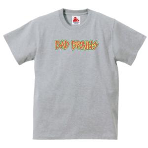 トータス Tortoise 音楽Tシャツ ロックTシャツ バンドTシャツ グレー