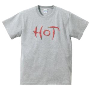 トータス Tortoise 音楽Tシャツ ロックTシャツ バンドTシャツ グレー